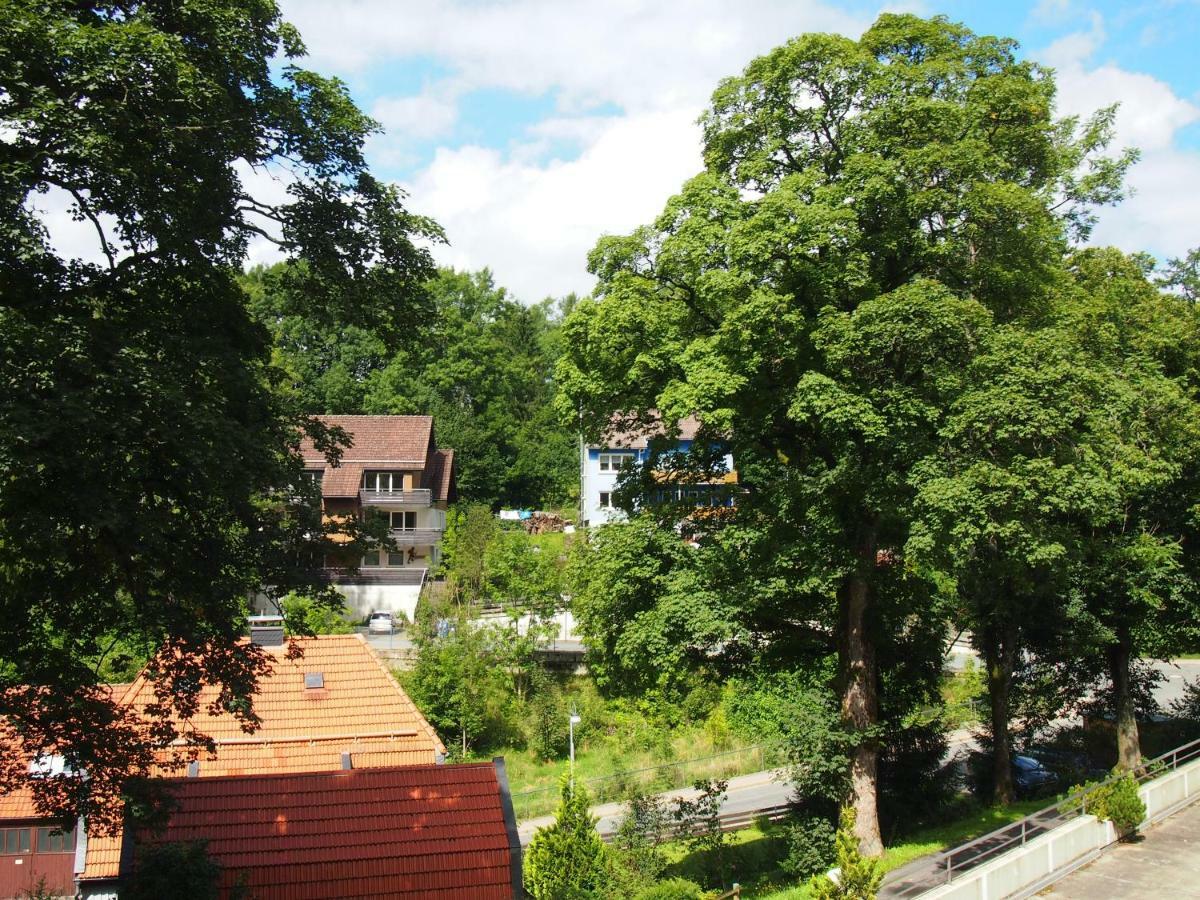 Apartment Harzgruen Sankt Andreasberg Ngoại thất bức ảnh